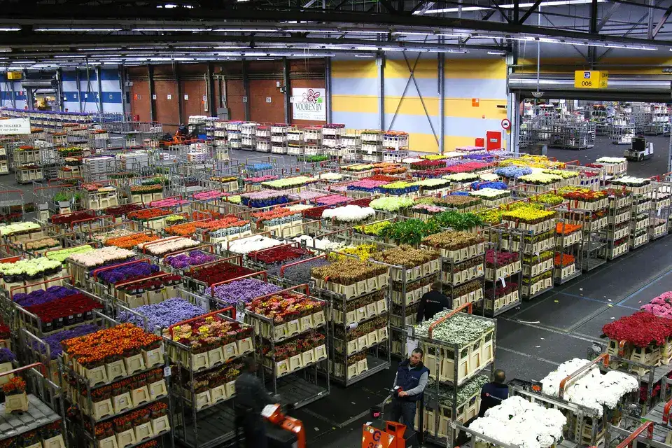 Karren vol bloemen in een veilinghal